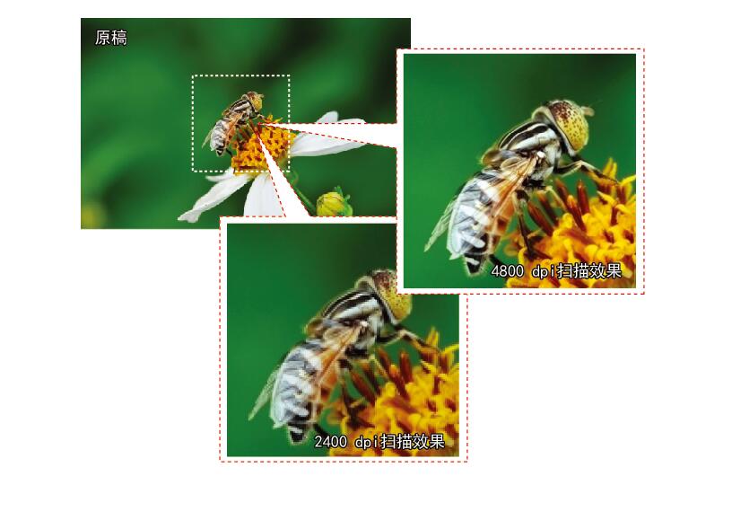 1665987010765415.jpg 1665987010765415.jpg