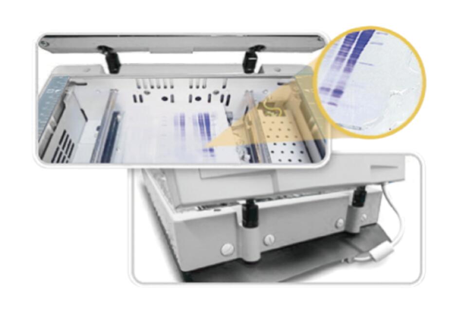 1692840204539906.jpg image003.jpg